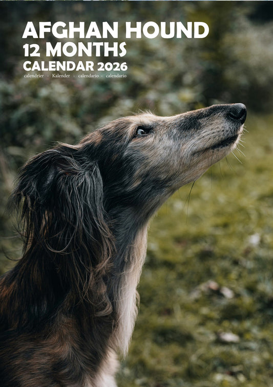 Afghan Hound Dog Calendar 2026 – M-PRA Range