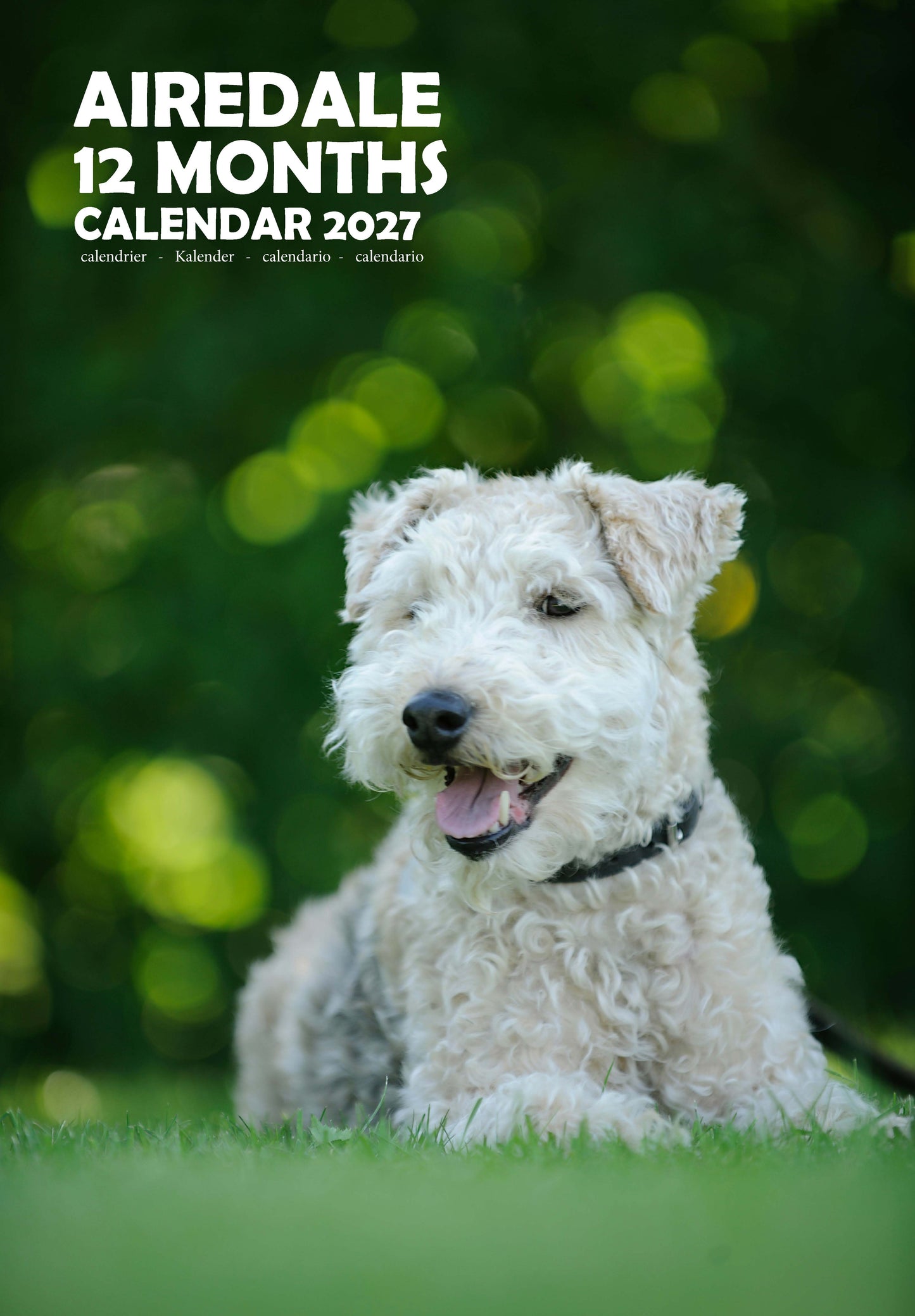 Airedale Dog Calendar 2027 – M-PRA Range