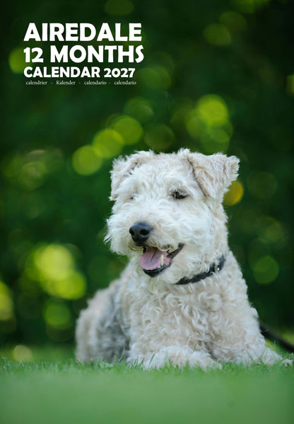 Airedale Dog Calendar 2027 – M-PRA Range