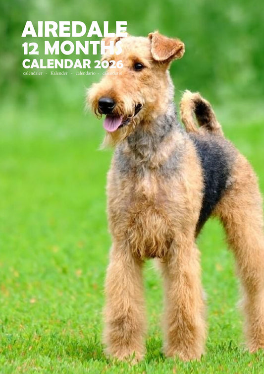 Airedale Dog Calendar 2026 – M-PRA Range