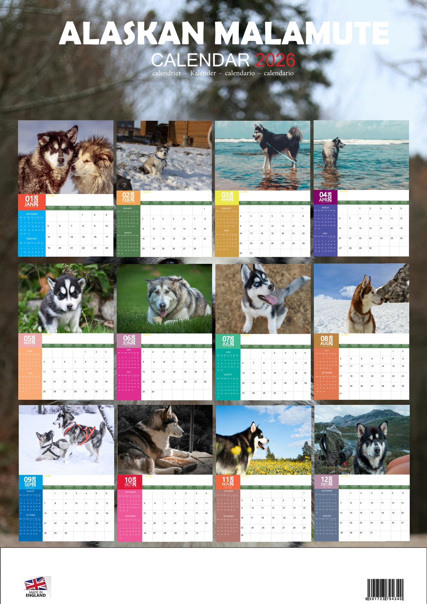 Alaskan Malamute Dog Calendar 2026 – M-PRA Range