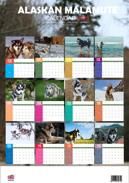 Alaskan Malamute Dog Calendar 2026 – M-PRA Range