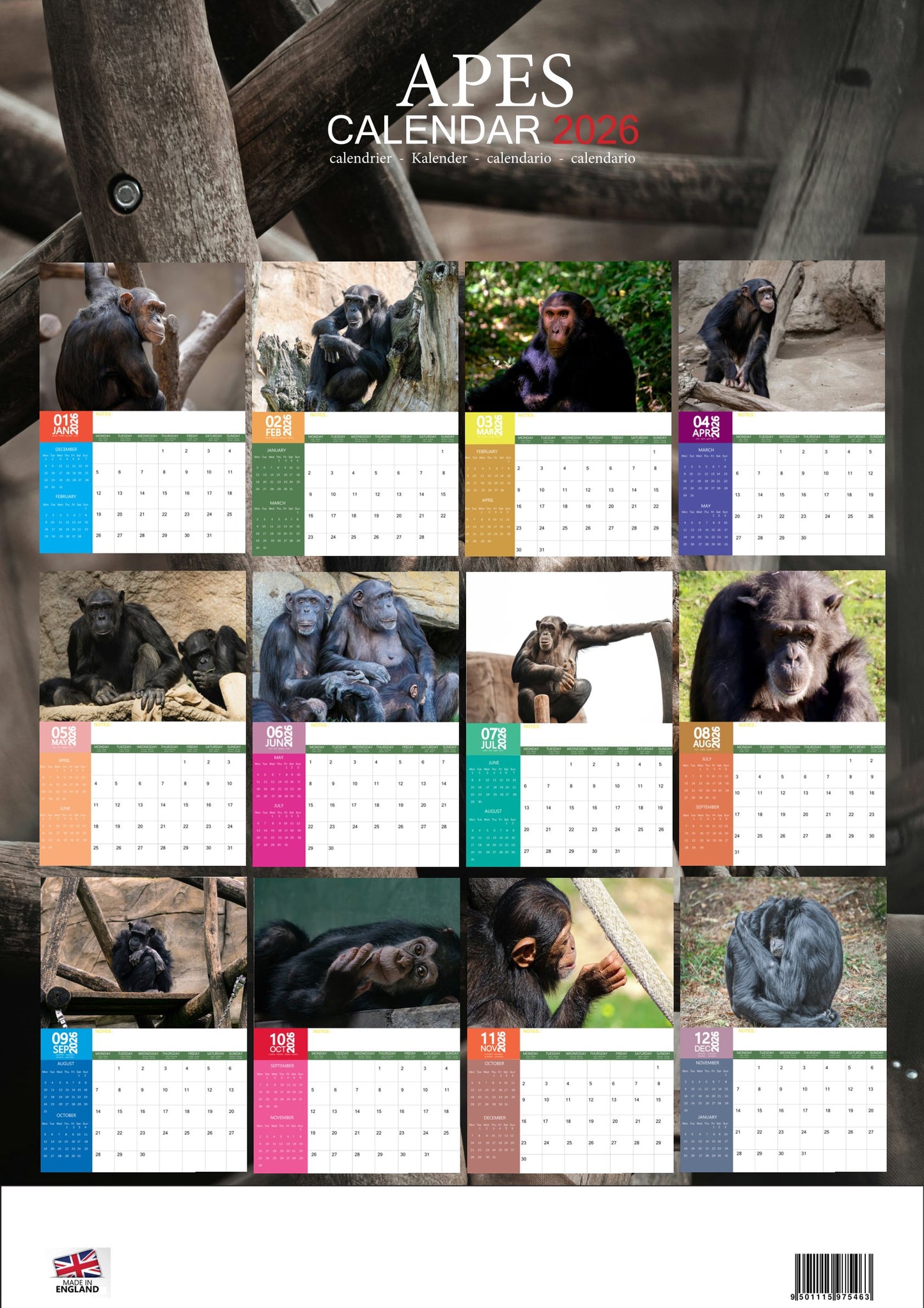 Apes Calendar 2026 – M-PRA Range