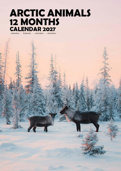 Arctic Animals Calendar 2027 – M-PRA Range