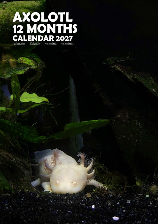 Axolotl Calendar 2027 – M-PRA Range