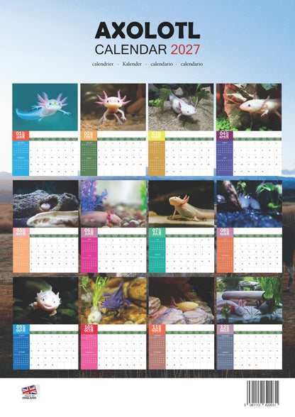 Axolotl Calendar 2027 – M-PRA Range