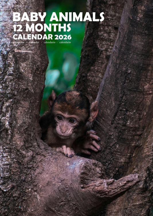 Baby Animals Calendar 2026 – M-PRA Range