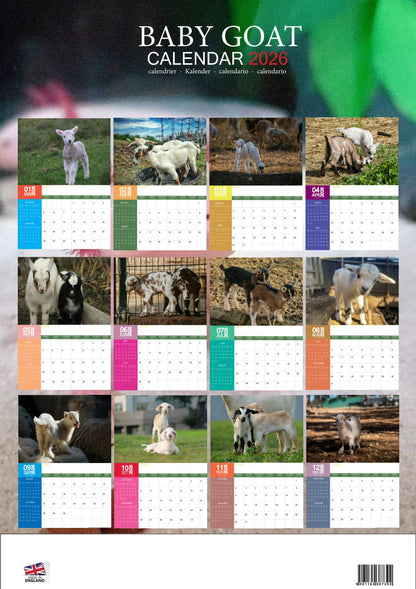 Baby Goats Calendar 2026 – M-PRA Range