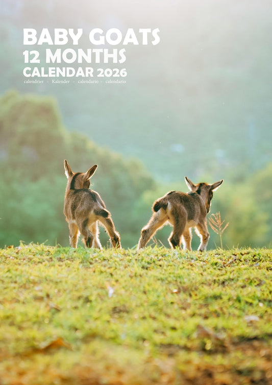 Baby Goats Calendar 2026 – M-PRA Range (Copy)