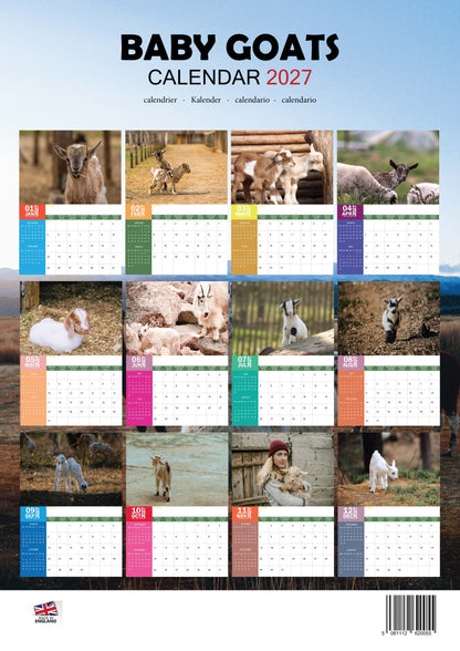 Baby Goats Calendar 2027 – M-PRA Range