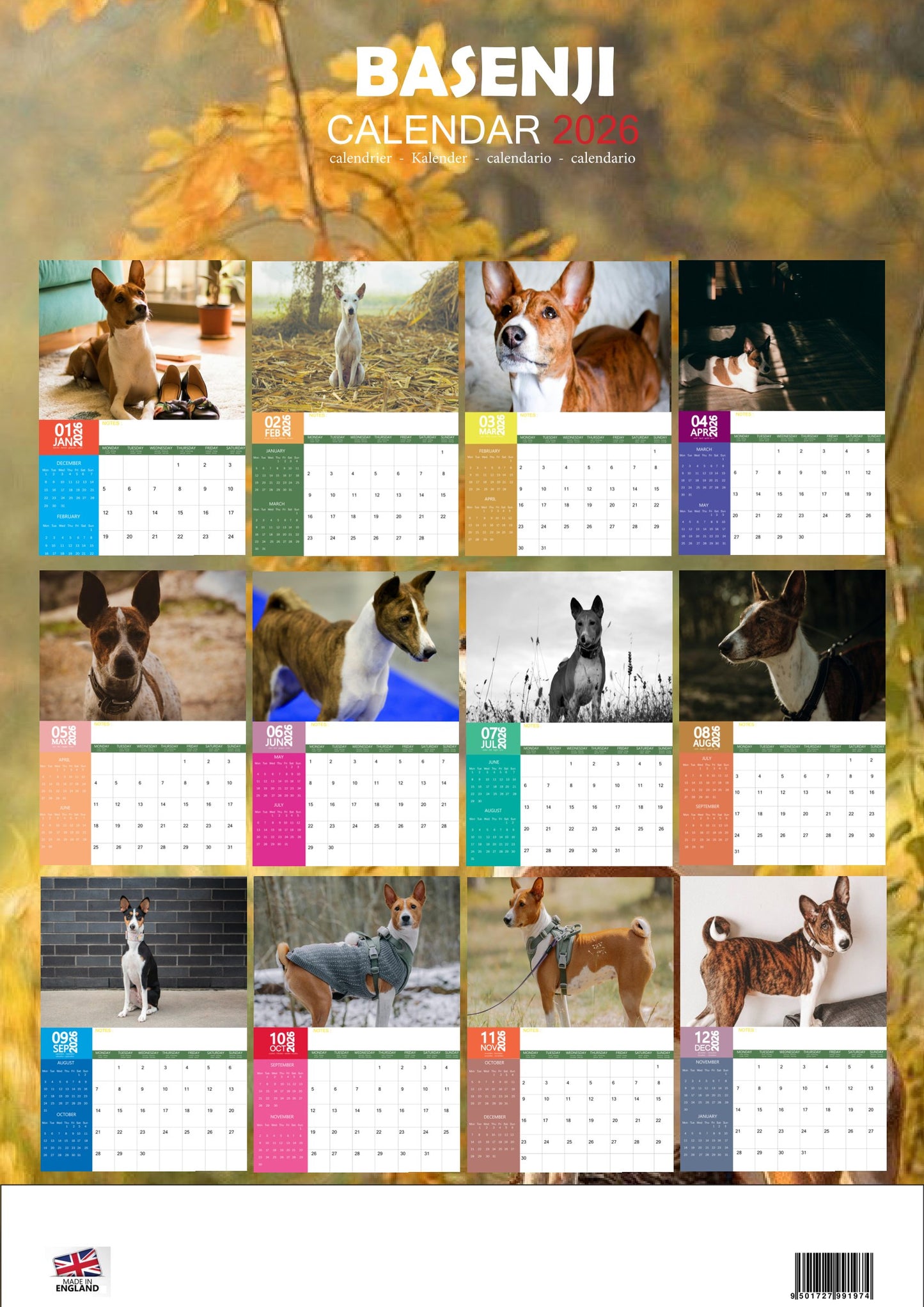 Basenji Dog Calendar 2026 – M-PRA Range