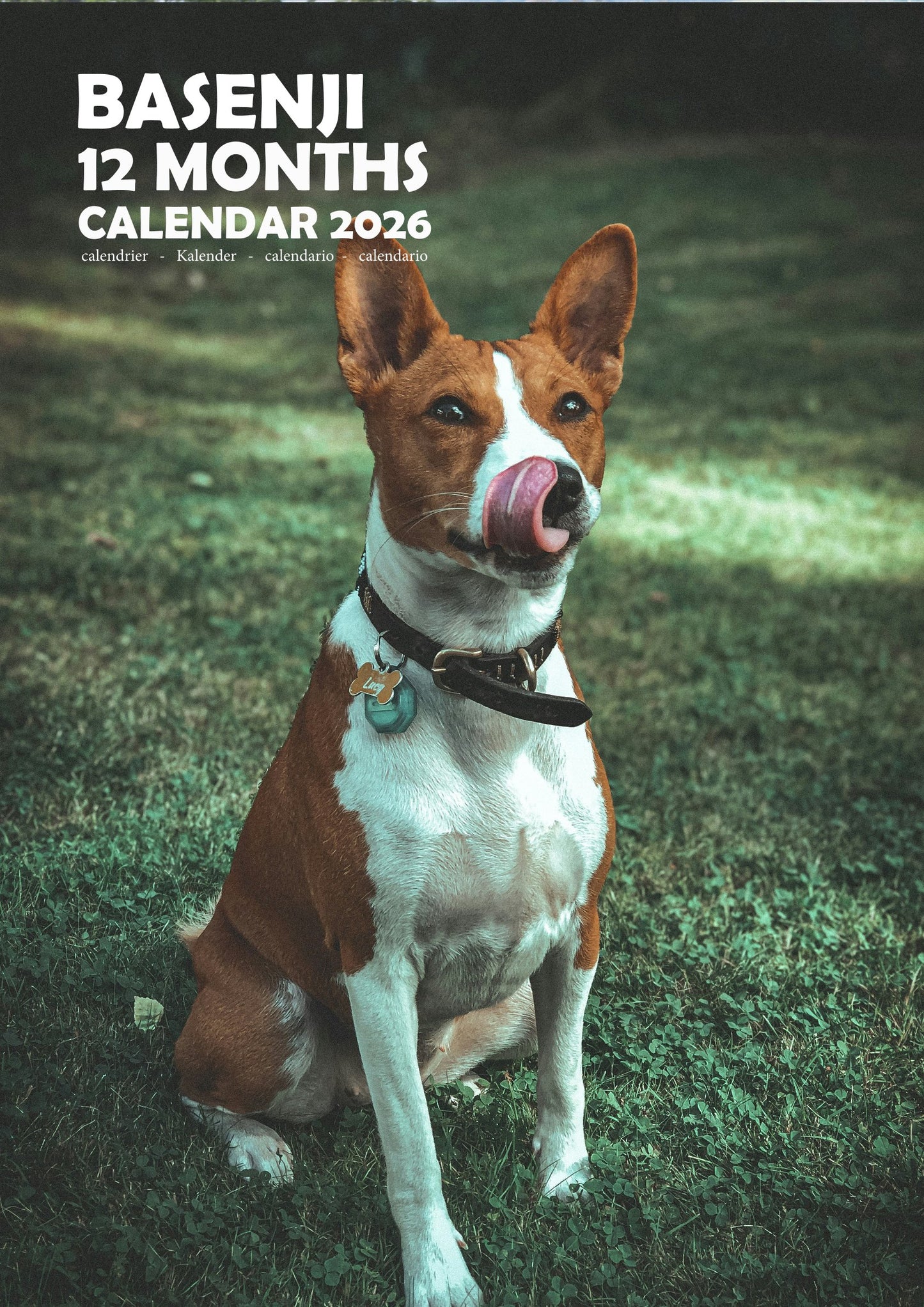 Basenji Dog Calendar 2026 – M-PRA Range