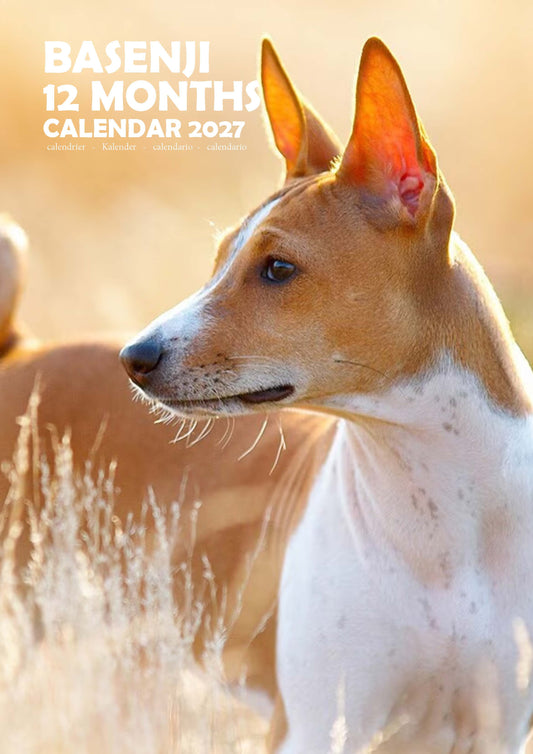 Basenji Dog Calendar 2027 – M-PRA Range