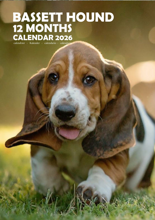 Basset Hound Dog Calendar 2026 – M-PRA Range