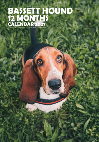 Bassett Hound Dog Calendar 2027 – M-PRA Range