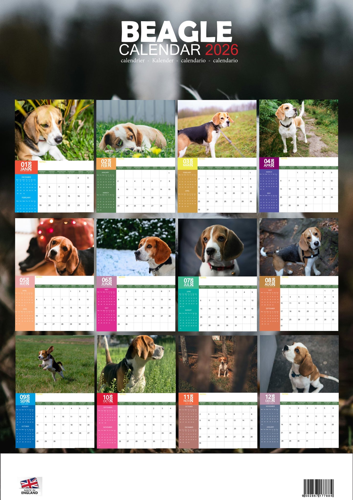 Beagle Dog Calendar 2026 – M-PRA Range