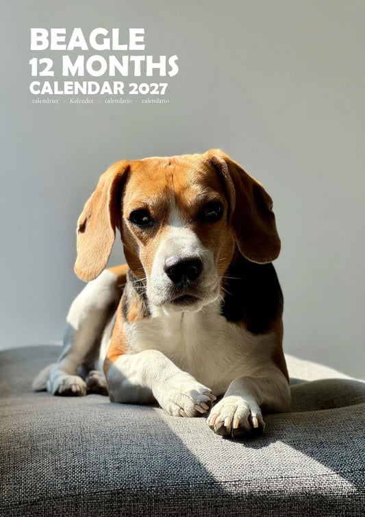 Beagle Dog Calendar 2027 – M-PRA Range