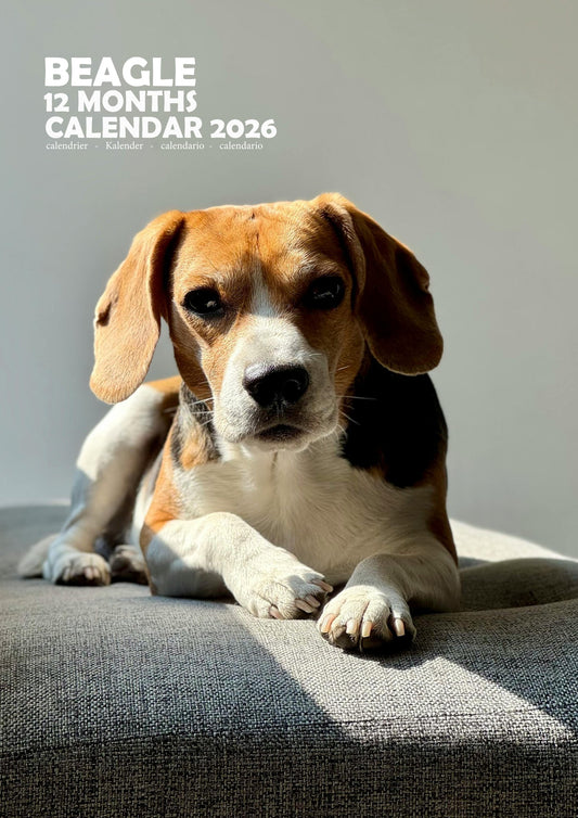 Beagle Dog Calendar 2026 – M-PRA Range