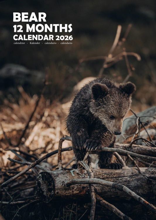 Bear Calendar 2026 – M-PRA Range
