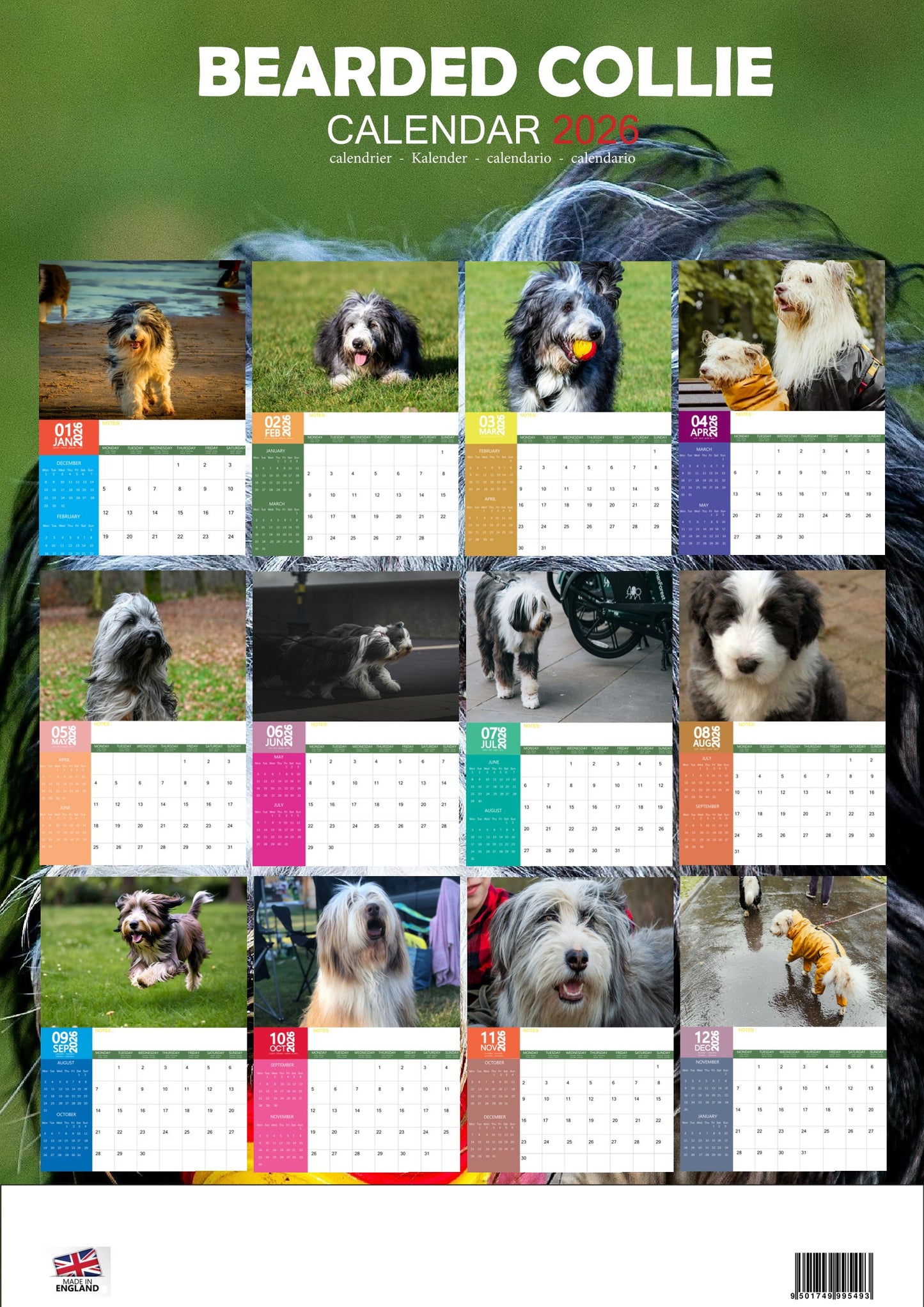 Bearded Collie Dog Calendar 2026 – M-PRA Range