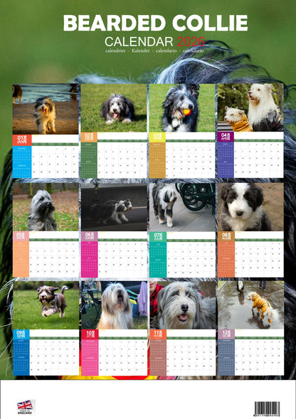 Bearded Collie Dog Calendar 2026 – M-PRA Range