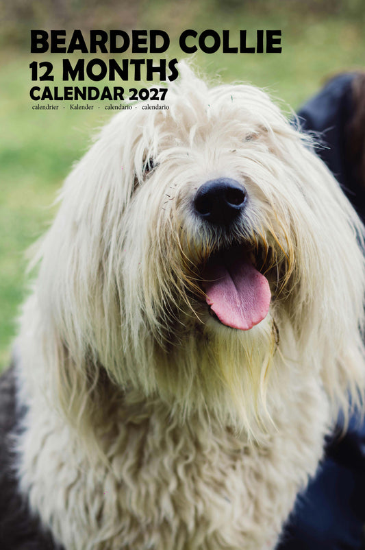 Bearded Collie Dog Calendar 2027 – M-PRA Range