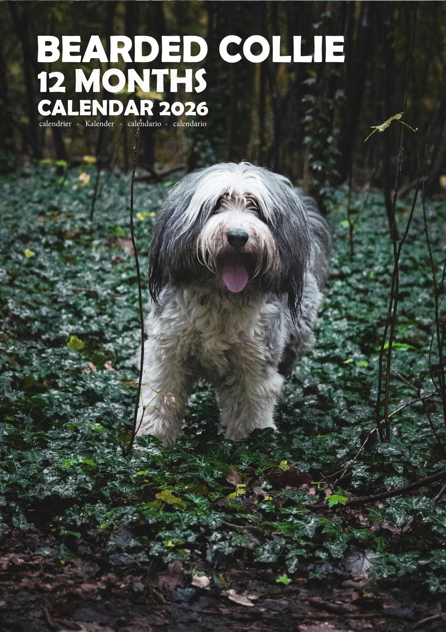 Bearded Collie Dog Calendar 2026 – M-PRA Range
