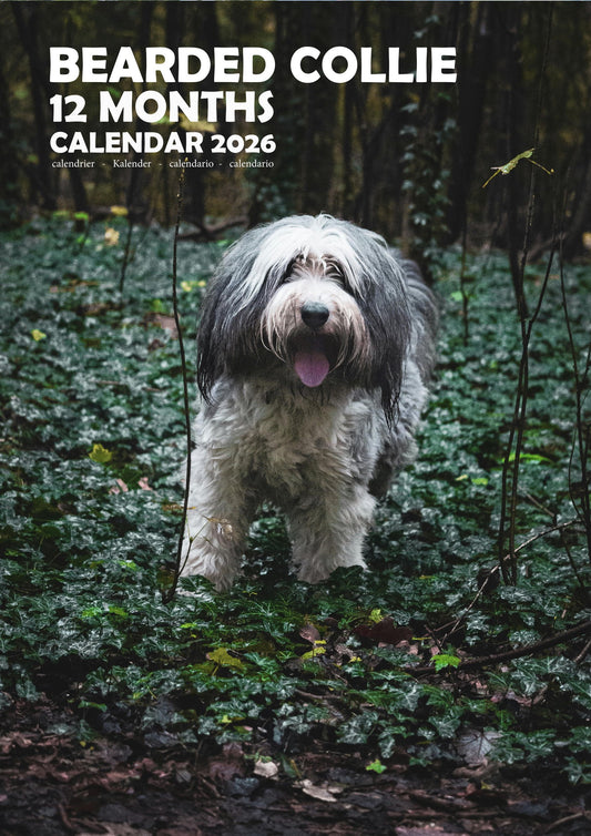 Bearded Collie Dog Calendar 2026 – M-PRA Range