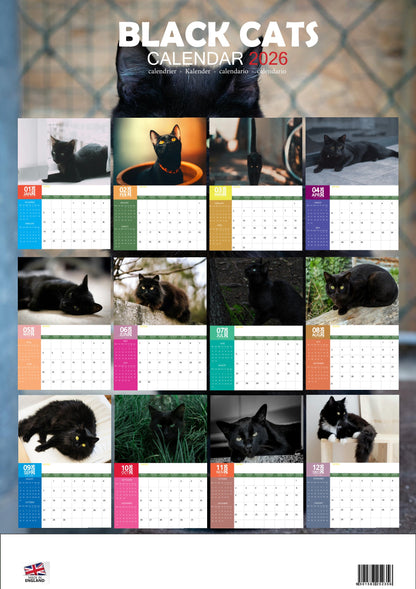 Black Cats Calendar 2026 – M-PRA Range