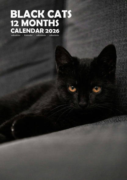 Black Cats Calendar 2026 – M-PRA Range