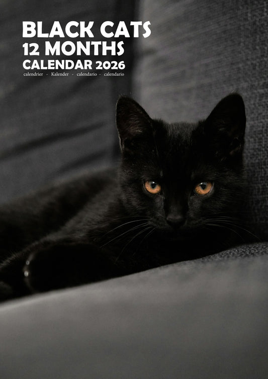 Black Cats Calendar 2026 – M-PRA Range