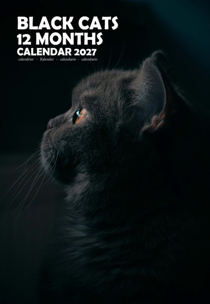 Black Cats Calendar 2027 – M-PRA Range