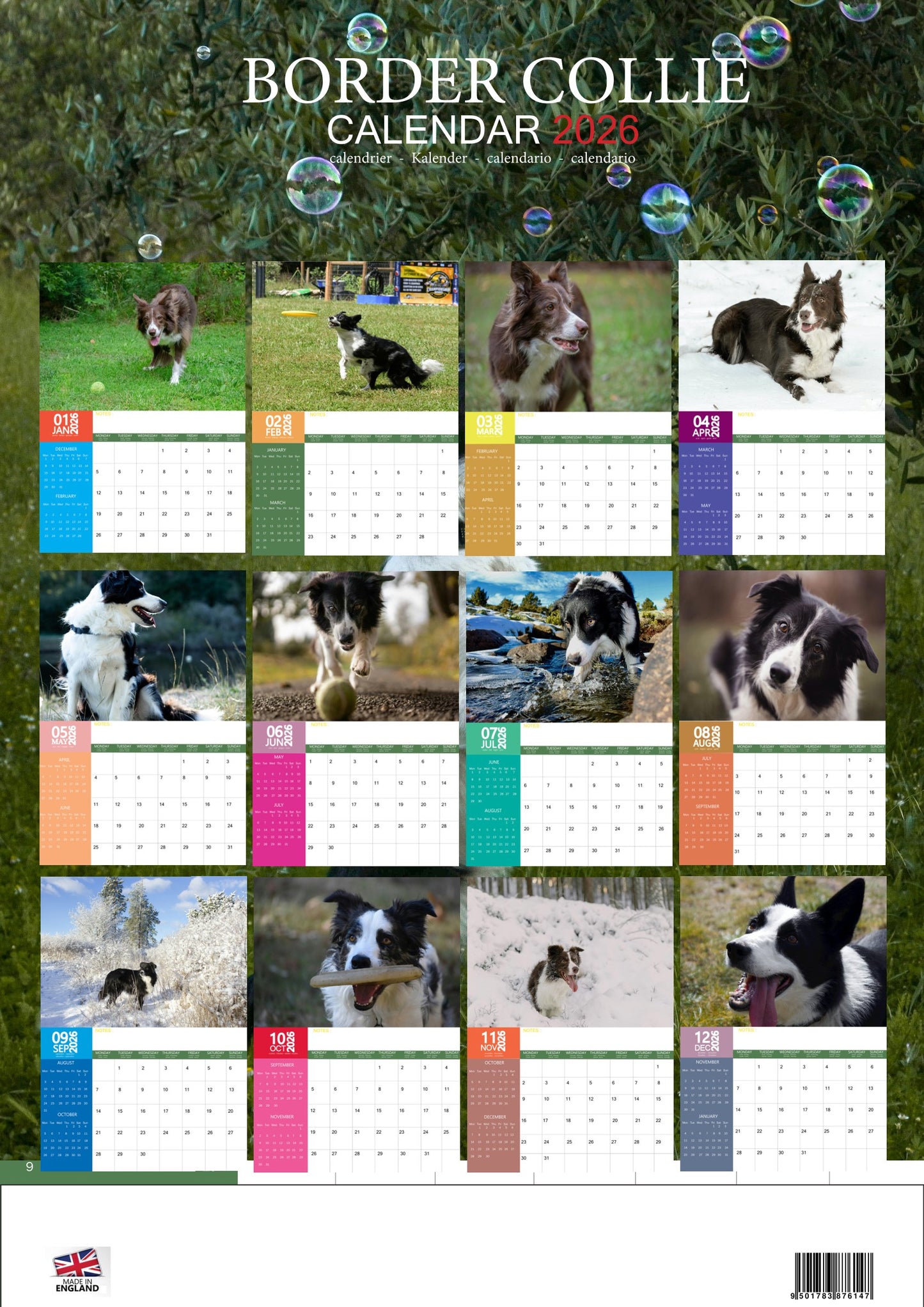 Border Collie Dog Calendar 2026 – M-PRA Range