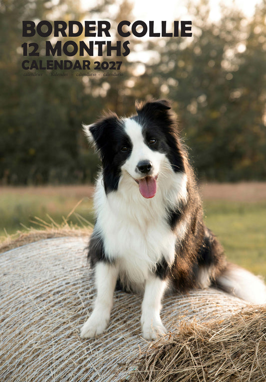 Border Collie Dog Calendar 2027 – M-PRA Range