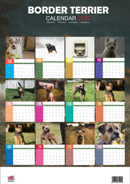Border Terrier Dog Calendar 2026 – M-PRA Range