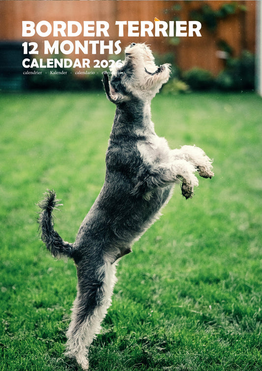 Border Terrier Dog Calendar 2026 – M-PRA Range