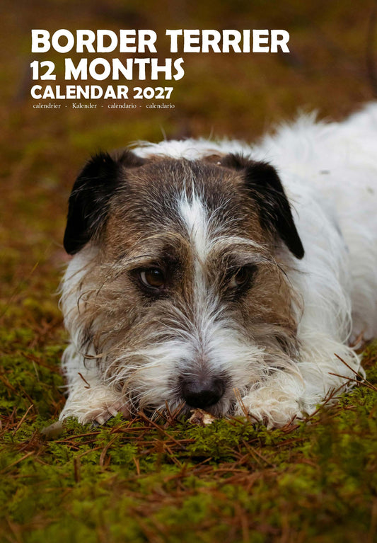 Border Terrier Dog Calendar 2027 – M-PRA Range