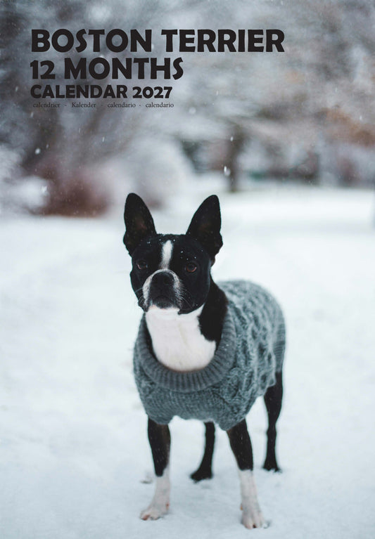Boston Terrier Dog Calendar 2027 – M-PRA Range