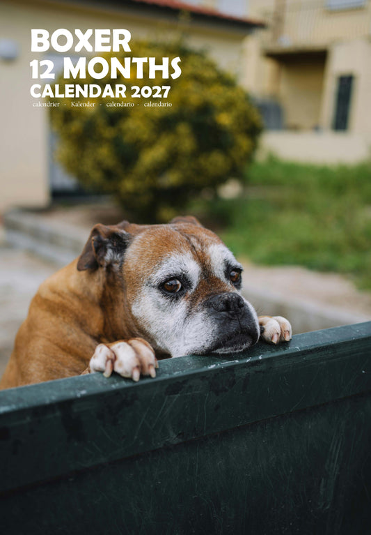 Boxer Dog Calendar 2027 – M-PRA Range