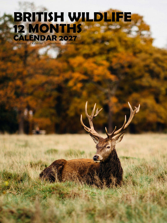 British Wildlife Calendar 2027 – M-PRA Range