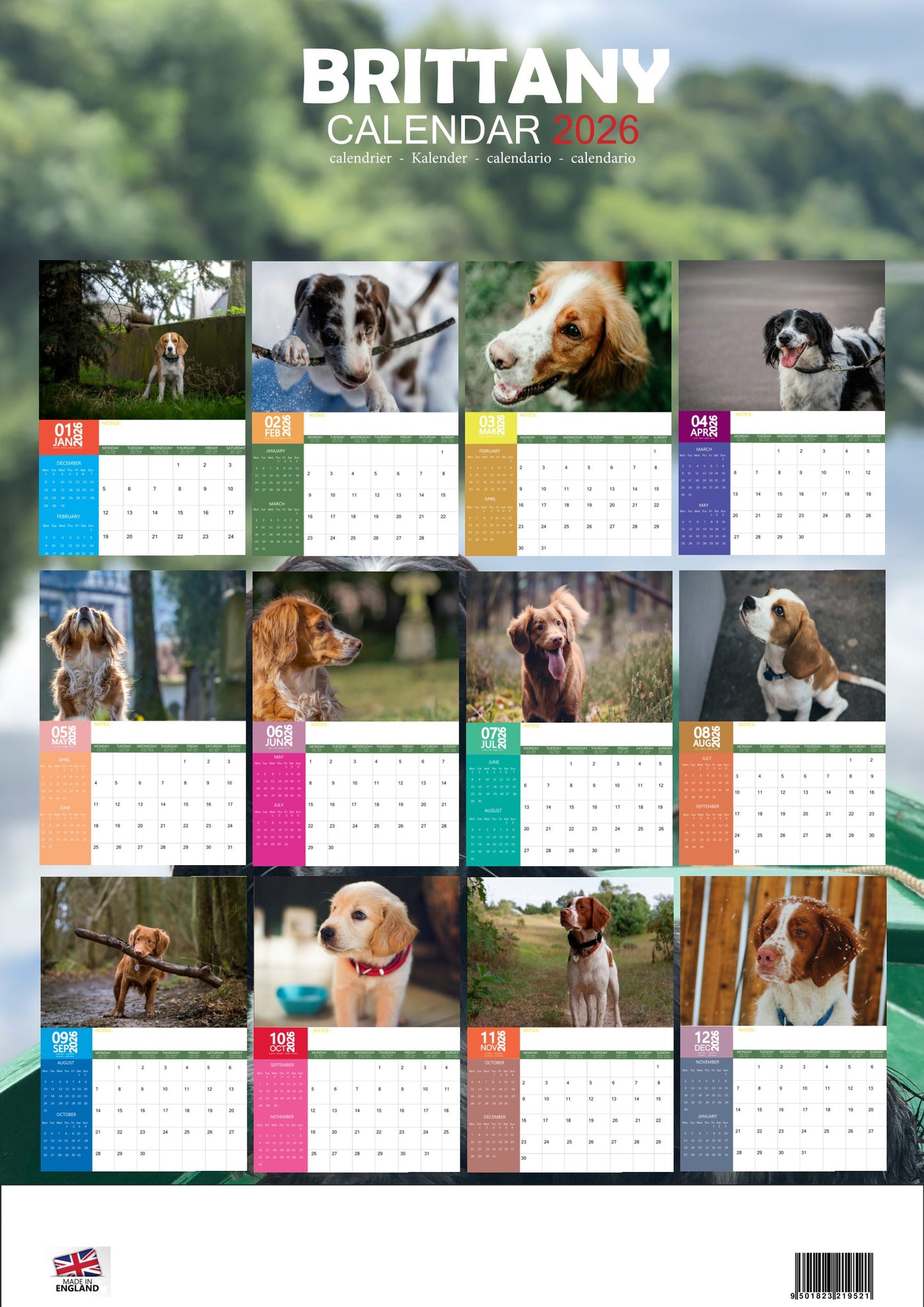 Brittany Dog Calendar 2026 – M-PRA Range