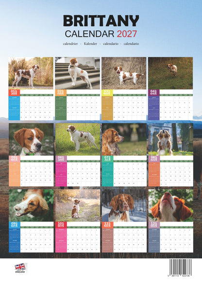 Brittany Dog Calendar 2027 – M-PRA Range