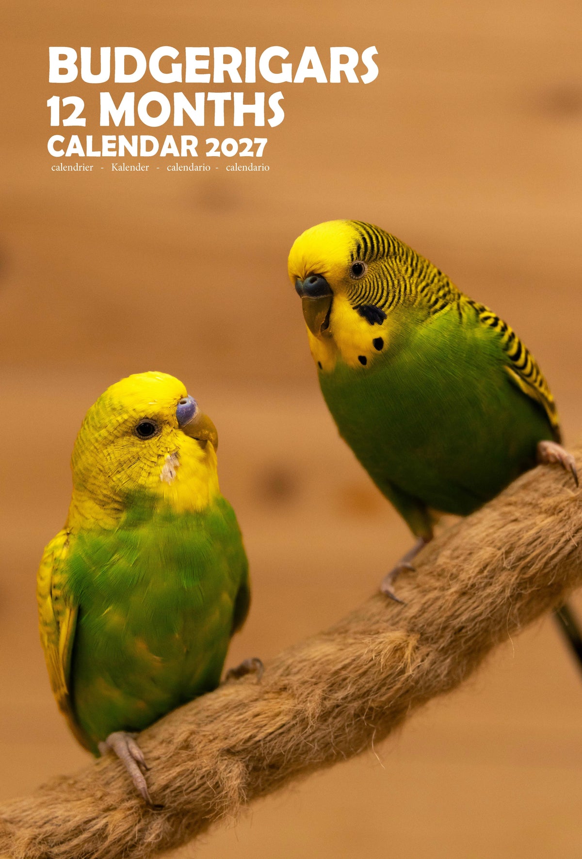 Budgerigars Calendar 2027 – M-PRA Range