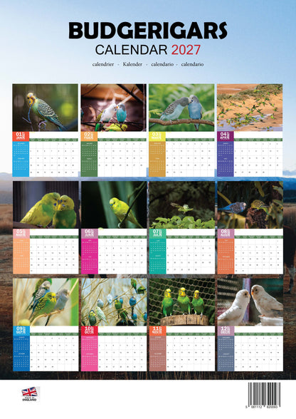 Budgerigars Calendar 2027 – M-PRA Range