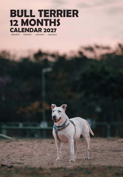 Bull Terrier Dog Calendar 2027 – M-PRA Range