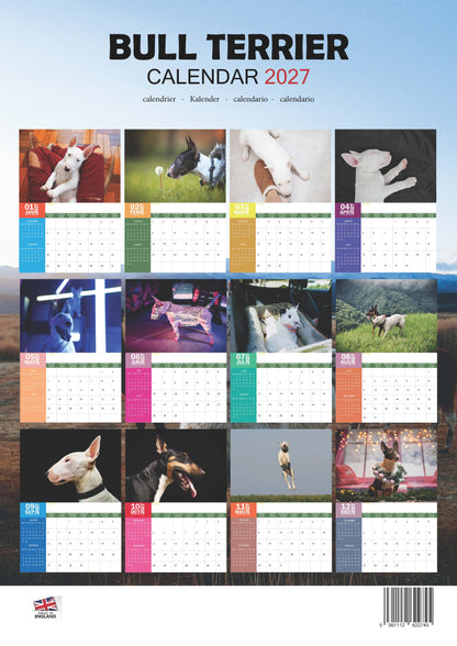 Bull Terrier Dog Calendar 2027 – M-PRA Range