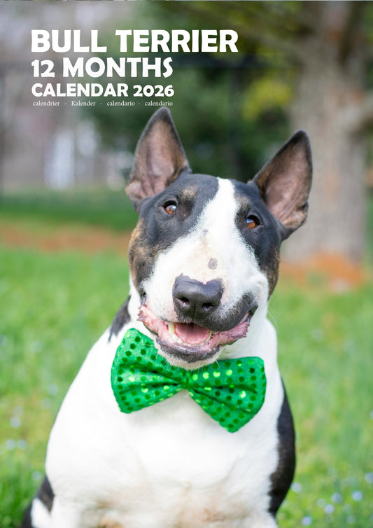 Bull Terrier Dog Calendar 2026 – M-PRA Range