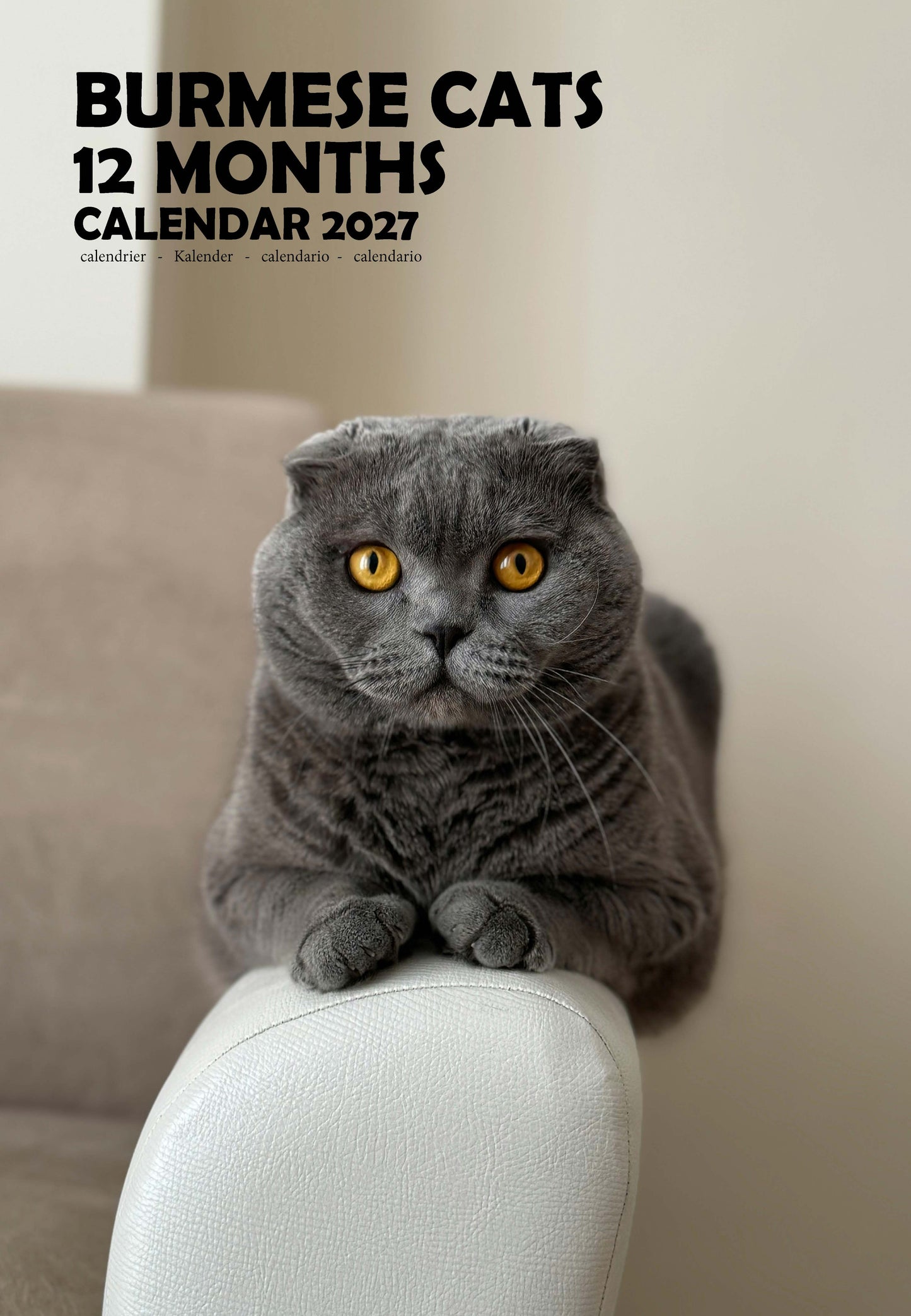Burmese Cats Calendar 2027 – M-PRA Range