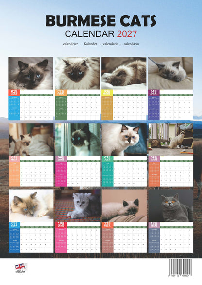 Burmese Cats Calendar 2027 – M-PRA Range