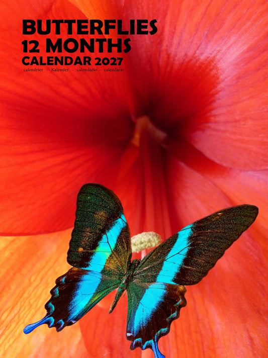 Butterflies Calendar 2027 – M-PRA Range